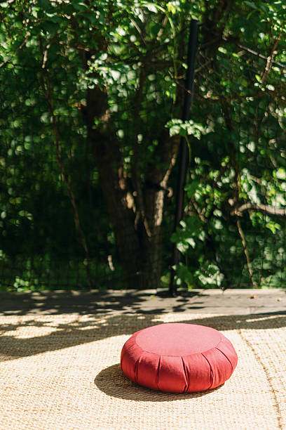 Meditație 